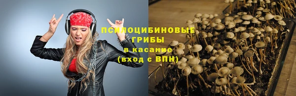 мдпв Верхнеуральск